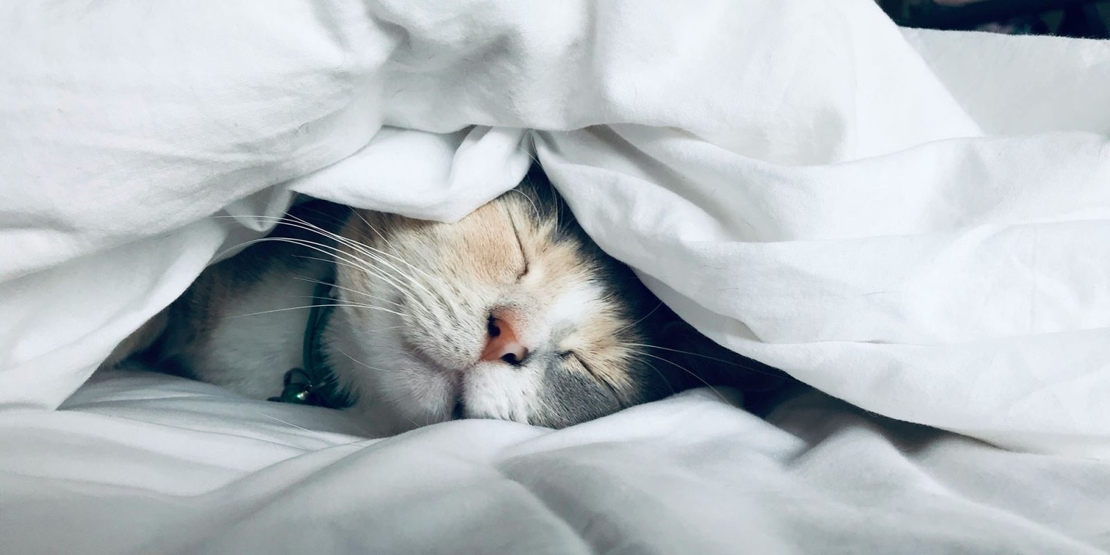 Apple Watch sleep score looks set to replicate these two smart ring features